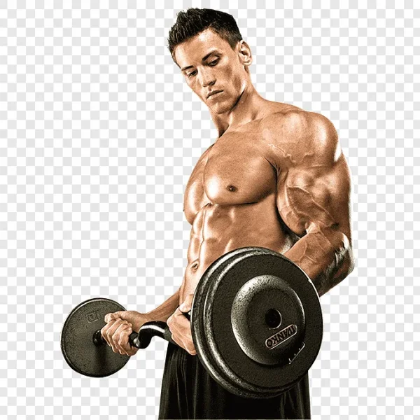 Курс стероидов на массу