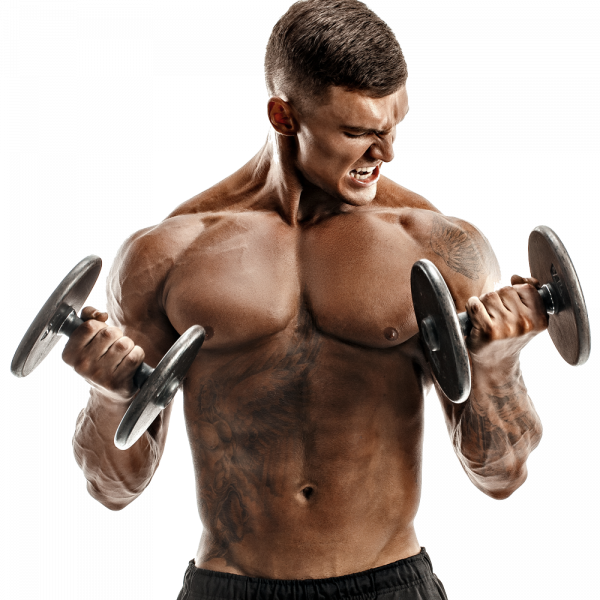 Курс стероидов для новичка #2